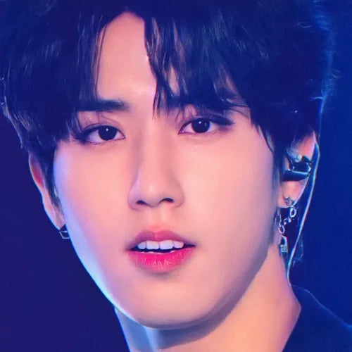 Boucles d'Oreilles KPOP Jisung - Groupe Stray Kids