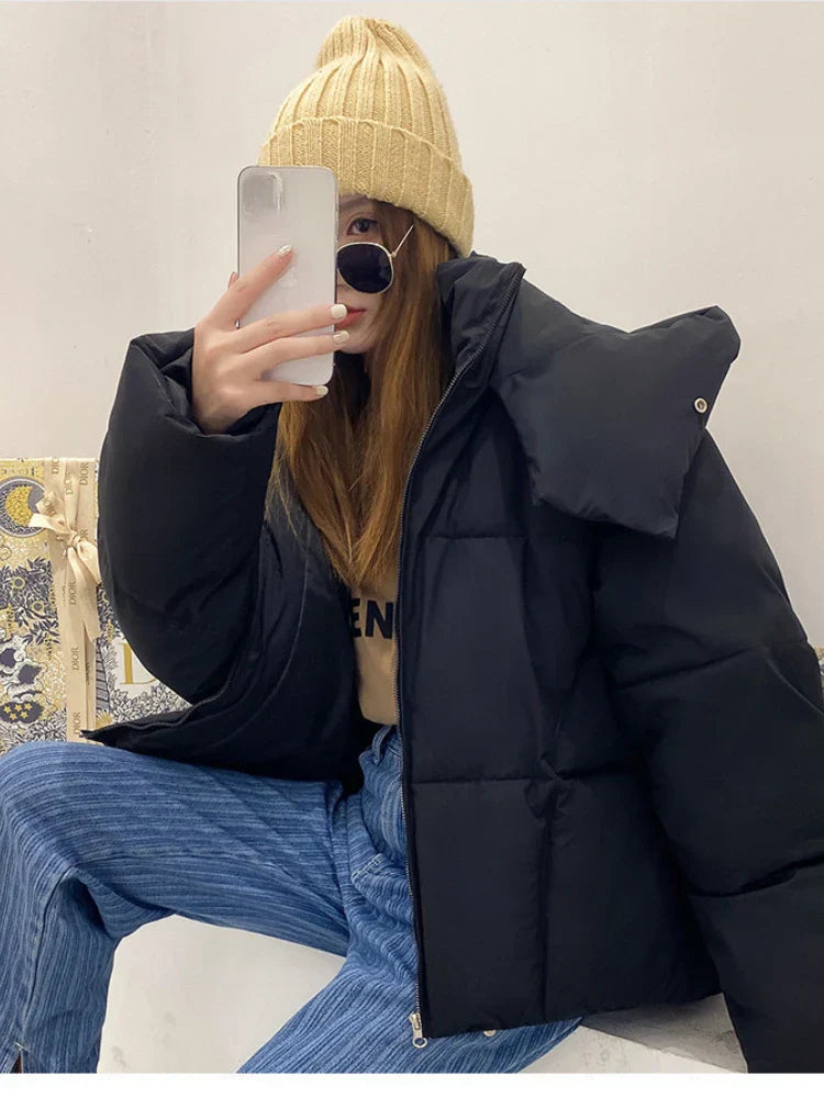 49397527347548|49397527380316|49397527413084